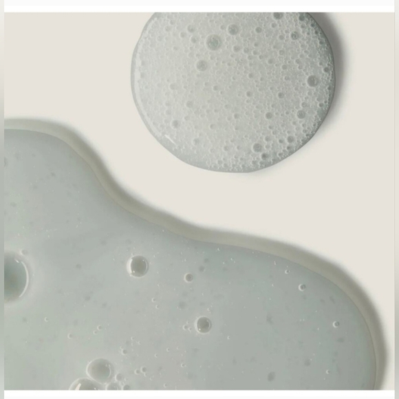 Twentynine Palms Desert Tumbleweed Cleansing Shampoo *NEW* RETAIL $54 - Picture 4 of 7